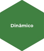 Dinâmico